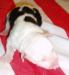 1day old