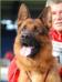 AJAX Grand Pa Face- Django Dad (VA6 Nando vom Gollerweiher)