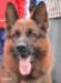 AJAX Grand Grand Pa- Nando Dad (V12 VA1(DK+SP) Yello vom St.-Michaels-Berg)