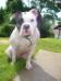 Zen at 2.5 years