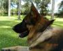 MIS FOTOS ( my pHOTOS )