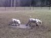 Play time