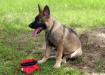 Jäger - 13 weeks