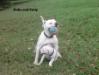play time