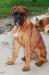 Magnus 5meses