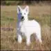 Jethro 3.5 mnd
