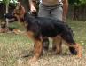 Zoom entrenando pose