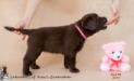 5 weeks old