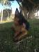 9 months  -  December 2015 Marina Del Rey, CA, USA