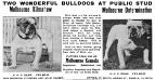 Melbourne Kilmahew&#x27;s 1917 Ad