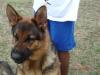 Loki 20090307