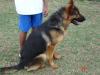 Loki 20090307