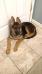 12 weeks