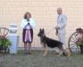 Best in Show at the Prince George Kennel Club July 24th under Yvonne Savard thank-you! Also Thank-you to Mr. Dick Lopaschuk for our Reserve Best in S