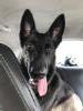6 Month Old