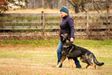 Heeling