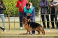 Gsd show kot kapoura