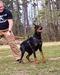 A little protection training