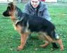 Pan - der Sohn