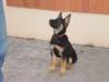 Eina a los tres meses/Eina 3 months