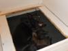 PUPPY FOOD NOWWWWWWWWWWW!!!!!!!!!