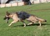 Candy on the Move
