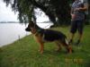 6 month old