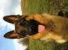 8 month old