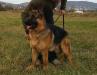 9 month old