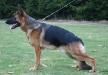 Esko 15 Monate Alt