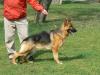 KIRA - 2 Jahre