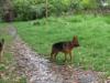 Thor, 15.04.2012