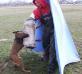 DeMeaux Malinois