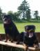 Deedee and brother