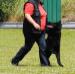 Training TZ Kreuzgrund