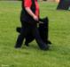Training TZ Kreuzgrund