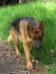 Thor, 09.12.2012
