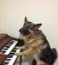 Pictures of luma