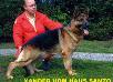 Xander vom Haus Santo Picture