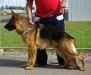 Quisto von Unterhain Picture