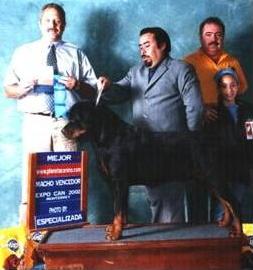 CAMP. MEX Apachy Fast Yollan