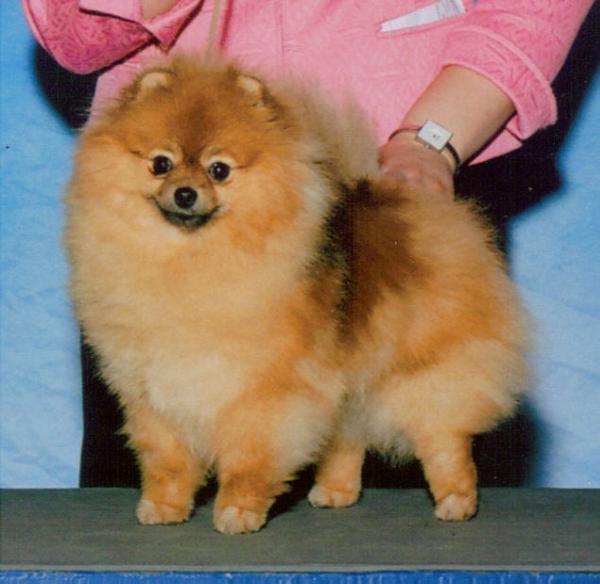 Trudy's Hot off the Press