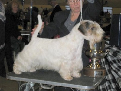 WW/CH,SK/JWW/INTERRA Whitepepper's Othello