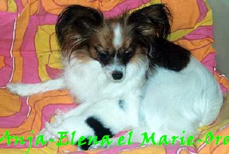 Anja-Elena el Marie-Oro