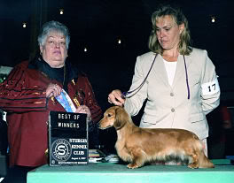 AM CH Stonerivers Second To None ML