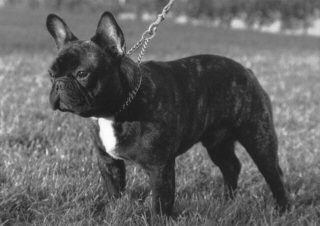 Caspar Kimmy Von Walton Hof