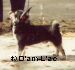 AM. CH. Hale'S strike a match