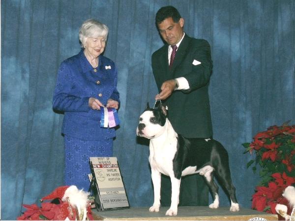 Res. JEW ‘08, AKC Ch. Tatar's De Willy Wonka