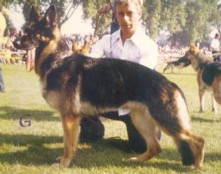 Josefin aus dem schwarzen Zwinger