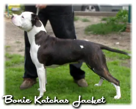 Bonie Katchas Jacket